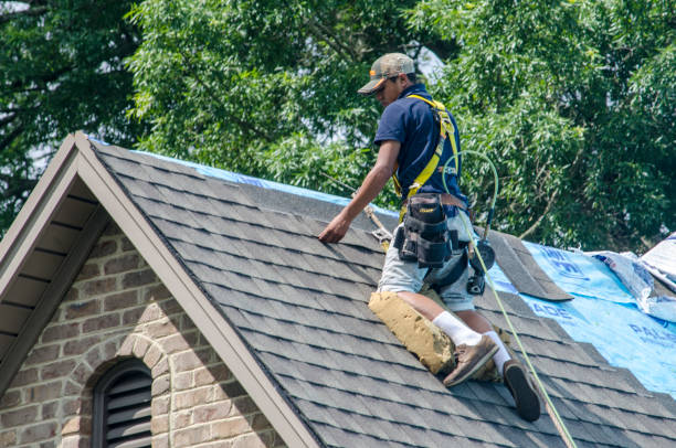 Best New Roof Installation  in Monroeville, AL